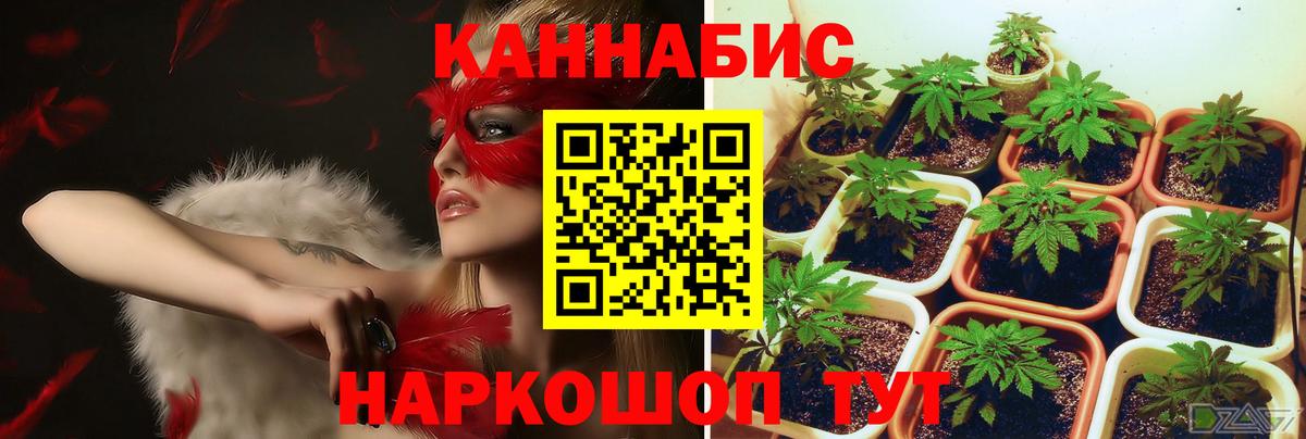 Бошки Шишки ГИДРОПОН Большой Камень